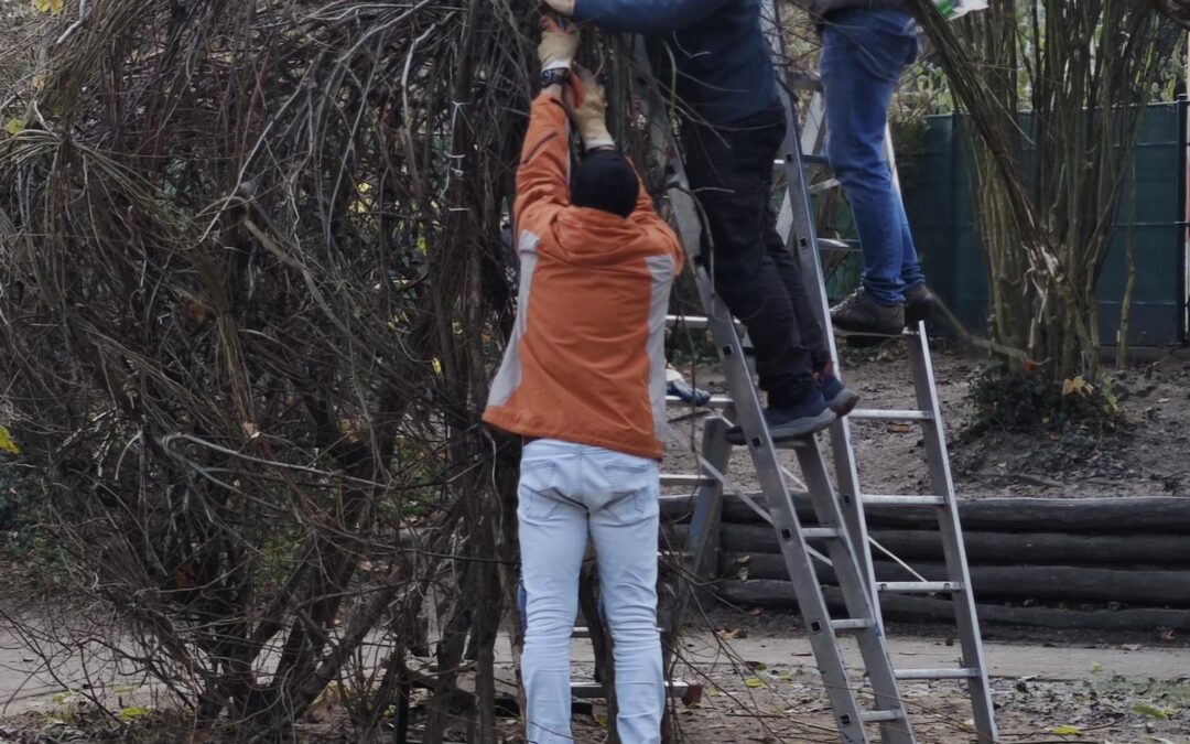 Unser Arbeitseinsatz im Kinderhaus